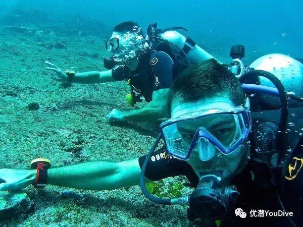 狂野的飙客无敌版